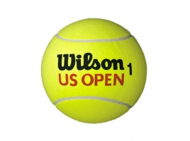 Wilson MINI JUMBO BALL Us Open.jpg